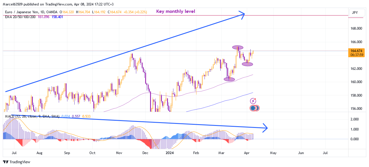 Long-term analysis of the EUR/JPY